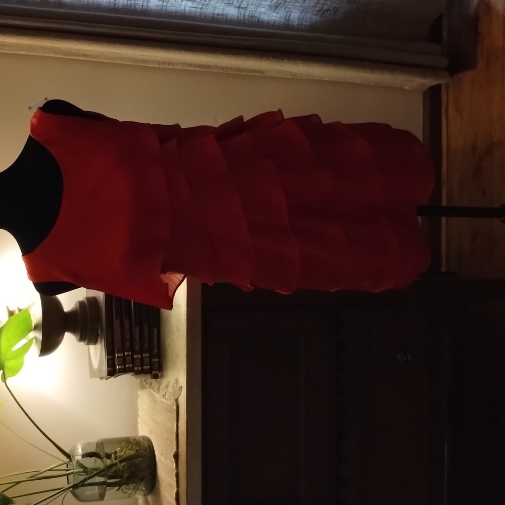 Red tunic dress or top